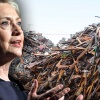 Weapon "shoot" in price immediately after the Clinton victory
