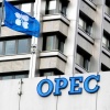 Investors are in a panic: OPEC is reversing